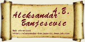 Aleksandar Banješević vizit kartica